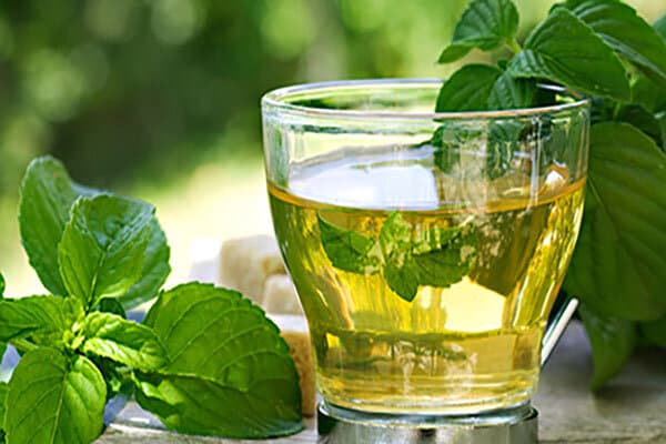 تصویر 2 از عرق نعنا شیشه ای خالص دارای خواص گوارشی برای برطرف کردن نفخ معده